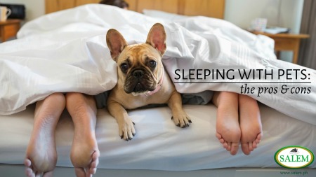 sleep pets banner